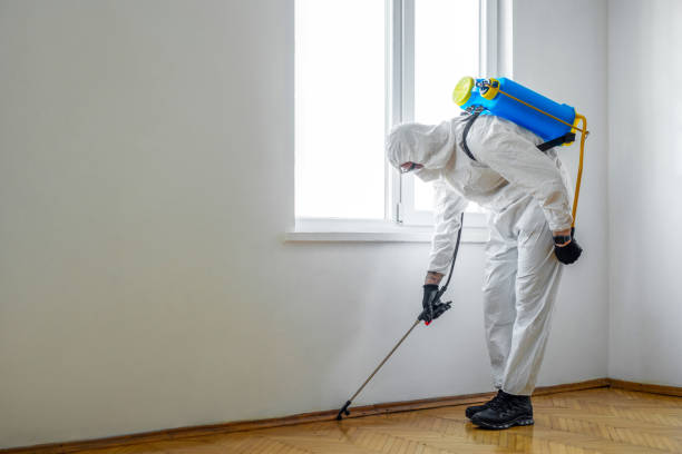 Real Estate Pest Inspections in Bridgeport, WA